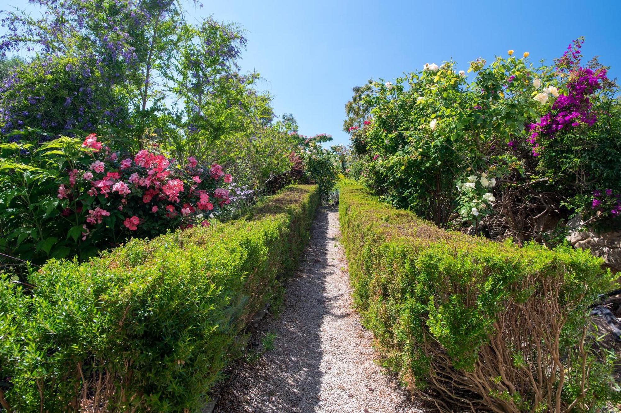 Sardinia Re - Villa Fioretta Flowers Apartments Olmedo Dış mekan fotoğraf